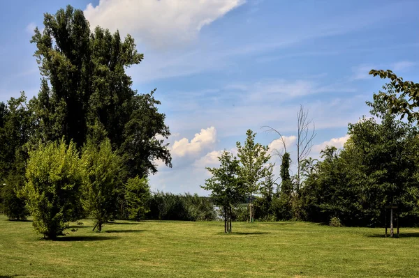 Otwarta Przestrzeń Nad Rzeką Parku Latem — Zdjęcie stockowe