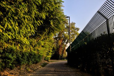 Ağaçların yanında çakıl yolu ve gün batımında çit.