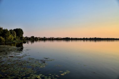 Sahildeki göl ve korulukta gün batımında suyun üzerinde zambak pedi