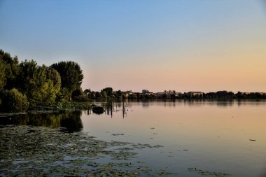 Sahildeki göl ve korulukta gün batımında suyun üzerinde zambak pedi