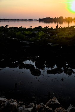 Ağaçlar ve nilüfer çiçekleri olan bir gölün üzerinde gün batımı