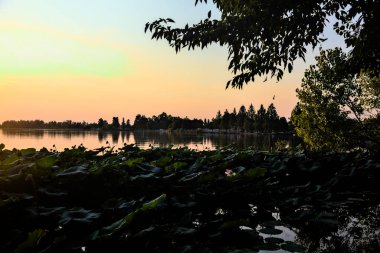 Ağaçlar ve nilüfer çiçekleri olan bir gölün üzerinde gün batımı