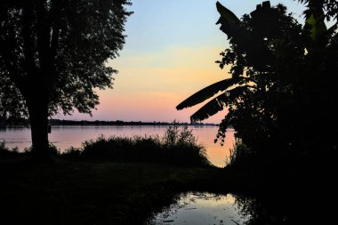 Ağaçlar ve nilüfer çiçekleri olan bir gölün üzerinde gün batımı