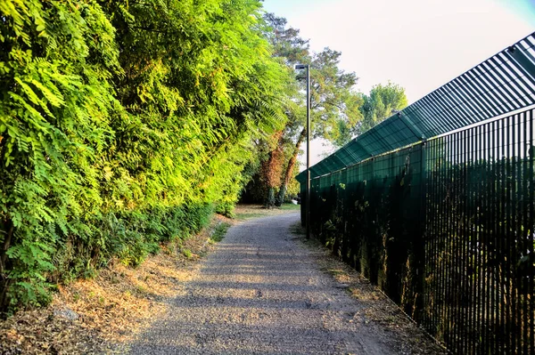 木立の横の砂利道と日没時のフェンス — ストック写真