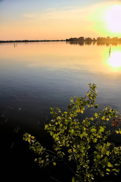 Almohadillas Lirio Superficie Lago Iluminado Por Sol Atardecer — Foto de Stock