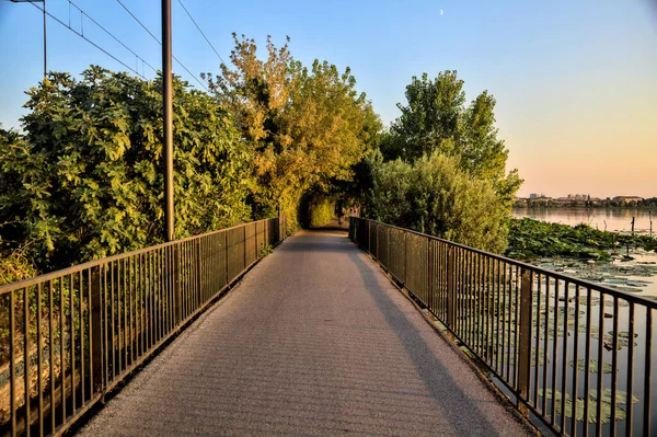 Passagem Lago Com Pessoas Passeando Que Leva Bosque Pôr Sol — Fotografia de Stock