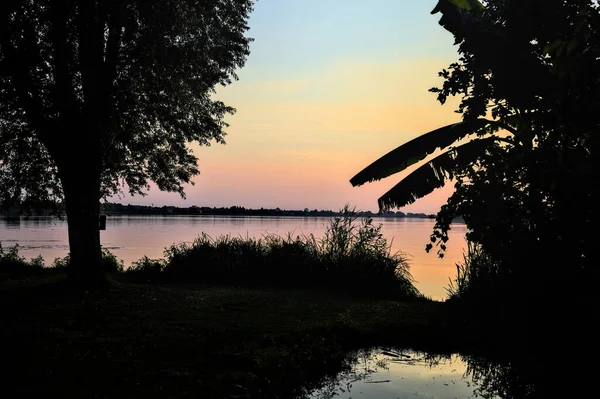 Sonnenuntergang Über Einem See Mit Bäumen Und Lotuspflanzen — Stockfoto