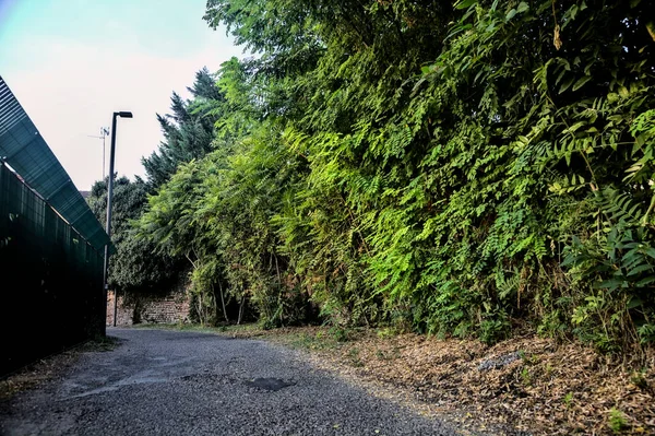 Grindpad Naast Bomen Een Afsluiting Bij Zonsondergang — Stockfoto