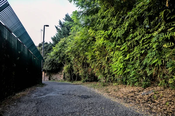 Gravel path next to trees and a fence at sunset