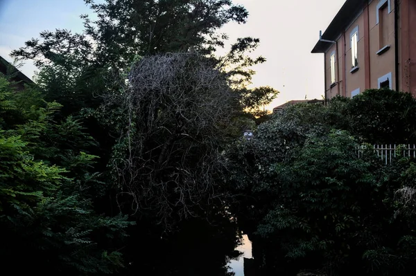 夕阳西下 有房屋和树木环绕的水流 — 图库照片
