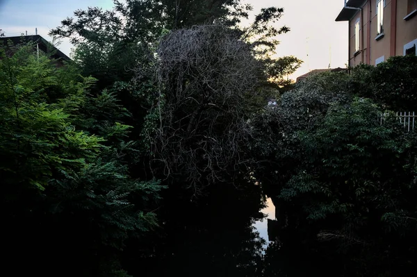 Strömmen Vatten Gränsar Till Ett Hus Och Träd Vid Solnedgången — Stockfoto