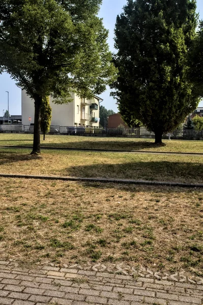 Weg Mit Bäumen Rande Einer Italienischen Stadt — Stockfoto