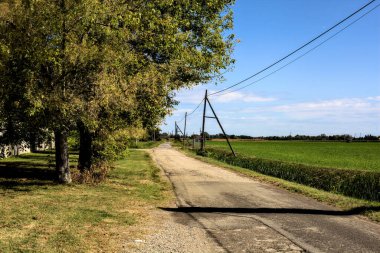 Ağaçlarla çevrili köy yolu ve bir tarlanın yanı.
