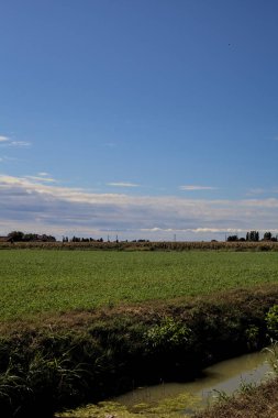 Kırsal kesimde bir su akıntısı ile çevrili bir arazide yol