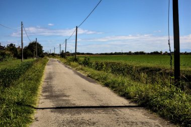 Açık bir günde evler ve tarlalarla çevrili köy yolu