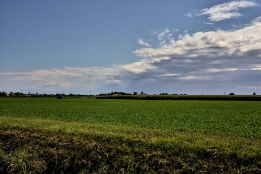 Bir tarlanın ortasında ağaçlarla çevrili bir çiftlik bulutlarla dolu açık bir günde, uzaklardan görülebiliyor.