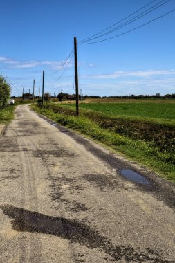 Açık bir günde evler ve tarlalarla çevrili köy yolu