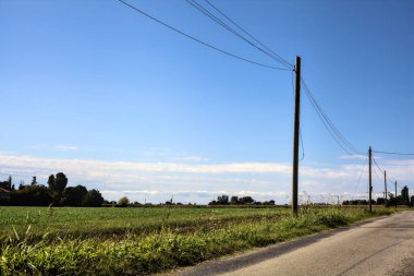 Açık bir günde evler ve tarlalarla çevrili köy yolu