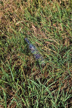 Kırık cam şişe çimlerin üzerinde kalmış.