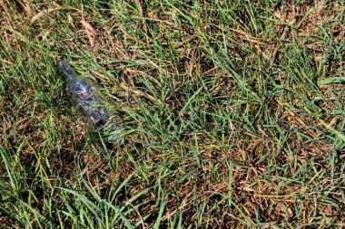 Kırık cam şişe çimlerin üzerinde kalmış.