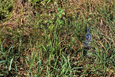 Kırık cam şişe çimlerin üzerinde kalmış.