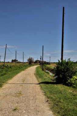 Terk edilmiş bir malikaneye giden yol açık bir yaz gününde su ve tarlalarla çevrili.