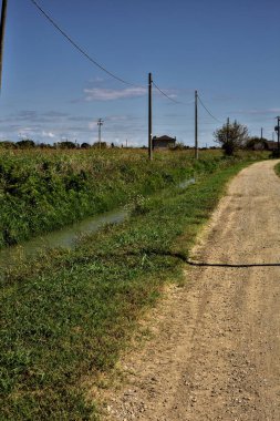 Terk edilmiş bir malikaneye giden yol açık bir yaz gününde su ve tarlalarla çevrili.