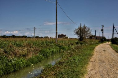 Terk edilmiş bir malikaneye giden yol açık bir yaz gününde su ve tarlalarla çevrili.