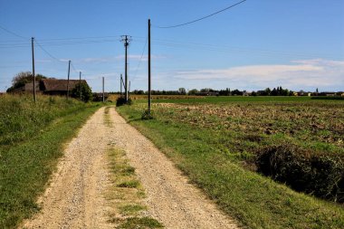 Terk edilmiş bir malikaneye giden yol açık bir yaz gününde su ve tarlalarla çevrili.