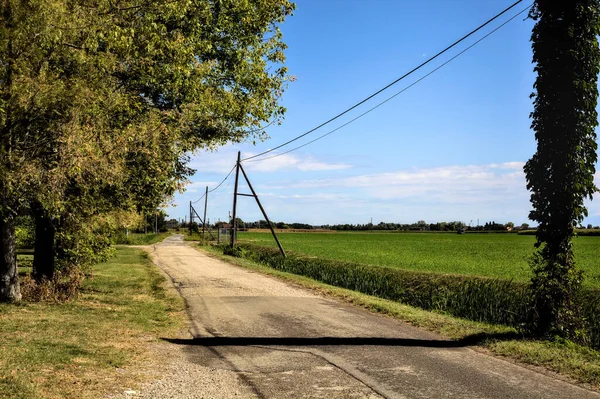 田舎道は木に囲まれ 畑の隣にある — ストック写真