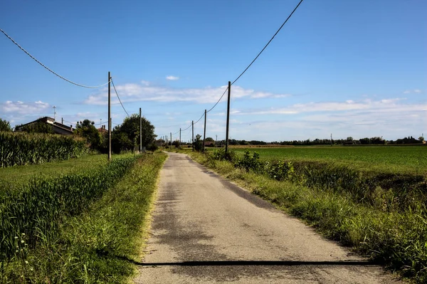 晴れた日には家や畑に囲まれた田舎道 — ストック写真