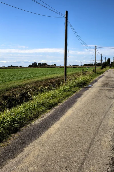 Strada Campagna Delimitata Case Campi Una Giornata Limpida — Foto Stock