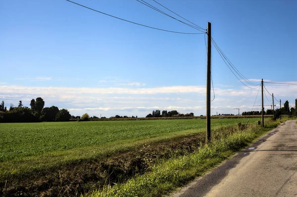 Country Road Bordered Houses Fields Clear Day — Stock Photo, Image