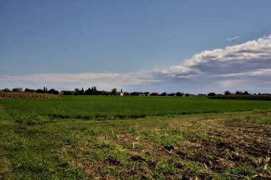 Bir tarlanın ortasında ağaçlarla çevrili bir çiftlik bulutlarla dolu açık bir günde, uzaklardan görülebiliyor.