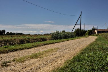 Açık bir günde İtalya kırsalında tarlaların yanında toprak yol ve bir su deresi.