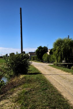 Açık bir günde evler ve tarlalarla çevrili köy yolu