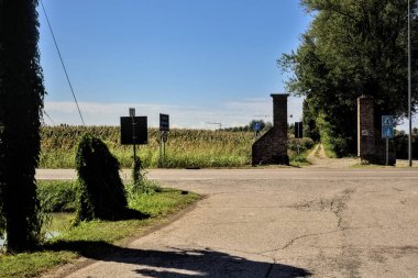 Açık bir günde ağaçlarla dolu bir kır yolundan geçmek