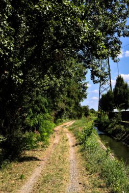 İtalya 'nın kırsal kesimlerinde elektrik direği olan bir su akıntısıyla çevrili toprak yol.