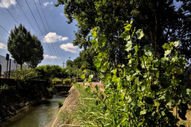 Ağaçlar ve çalılarla çevrili toprak yol ve bulutlarla dolu açık bir günde İtalya kırsalında bir su akıntısı.