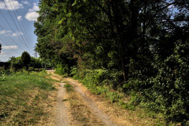 Ağaçlar ve çalılarla çevrili toprak yol ve bulutlarla dolu açık bir günde İtalya kırsalında bir su akıntısı.