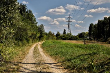 Bir su akıntısının yanındaki toprak yol ve açık bir günde üzerinde selvi olan açık bir alan.