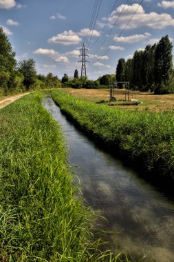 Bir su akıntısının yanındaki toprak yol ve açık bir günde üzerinde selvi olan açık bir alan.