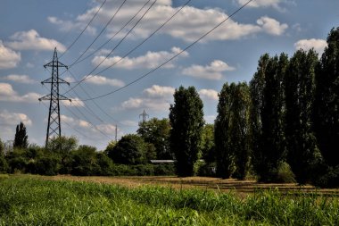 Bir su akıntısının yanındaki toprak yol ve açık bir günde üzerinde selvi olan açık bir alan.
