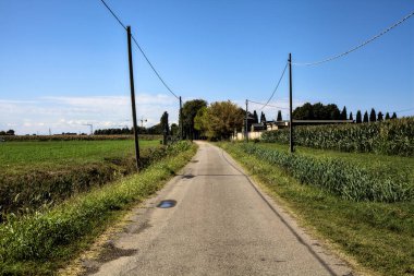 Açık bir günde evler ve tarlalarla çevrili köy yolu