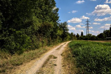 İtalya 'nın kırsal kesimlerinde elektrik direği olan bir su akıntısıyla çevrili toprak yol.