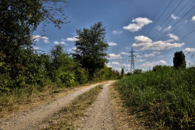 Bir su akıntısının yanındaki toprak yol ve açık bir günde üzerinde selvi olan açık bir alan.
