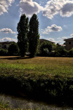 Bir su akıntısının yanındaki toprak yol ve açık bir günde üzerinde selvi olan açık bir alan.