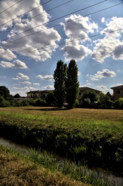 Bir su akıntısının yanındaki toprak yol ve açık bir günde üzerinde selvi olan açık bir alan.
