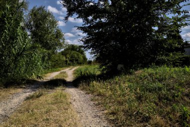 Ağaçlar ve çalılarla çevrili toprak yol ve bulutlarla dolu açık bir günde İtalya kırsalında bir su akıntısı.