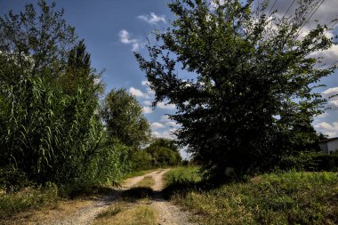 Ağaçlar ve çalılarla çevrili toprak yol ve bulutlarla dolu açık bir günde İtalya kırsalında bir su akıntısı.